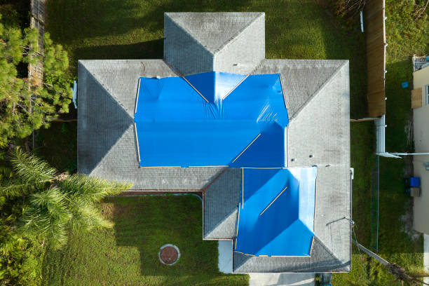 Best Green or Eco-Friendly Roofing Solutions  in Darlington, SC