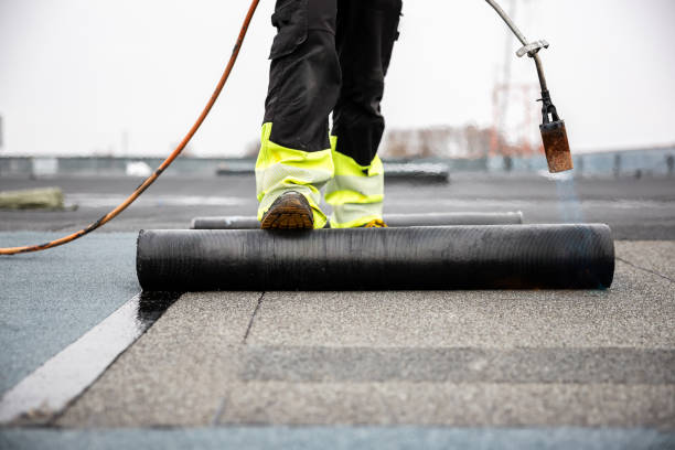 Best Roof Coating and Sealing  in Darlington, SC