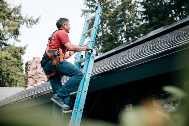 Best Roof Maintenance and Cleaning  in Darlington, SC
