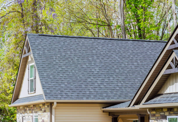 Best Chimney Flashing Repair  in Darlington, SC